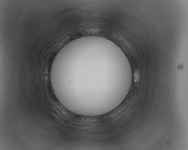 X0000097621011200802290815
