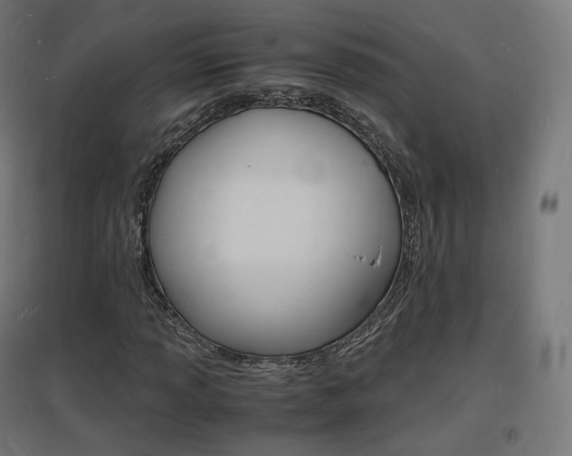 X0000097621013200802290815