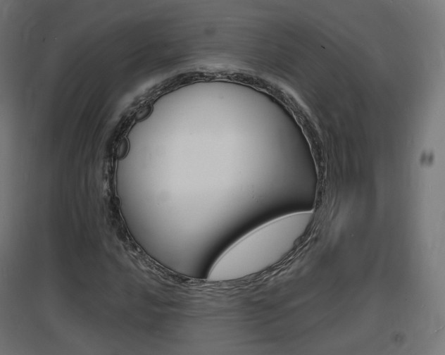 X0000097621016200802290815