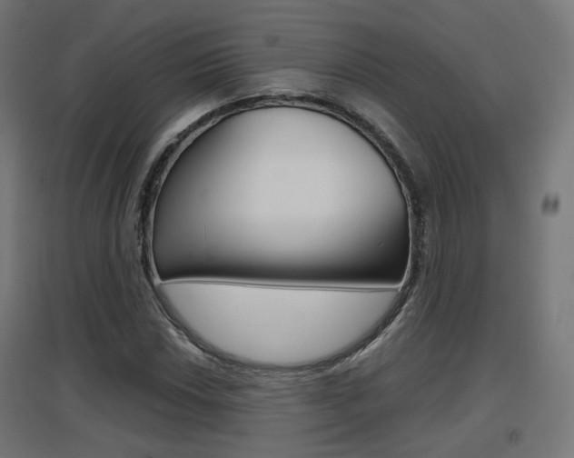 X0000097621018200802290815