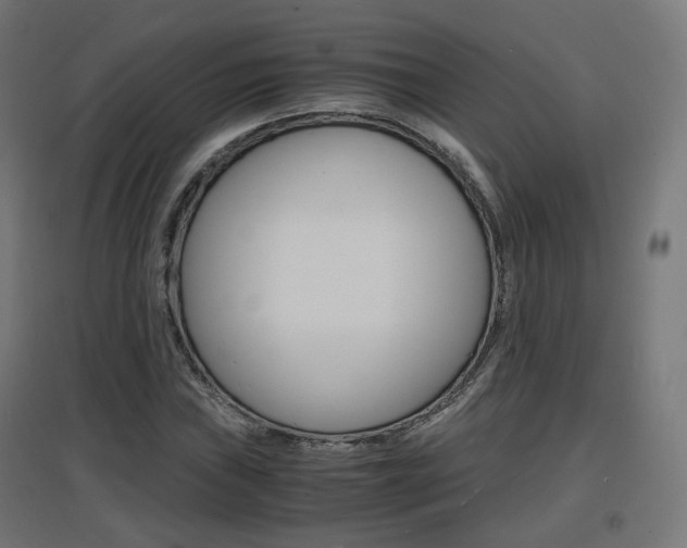 X0000097621019200802290815