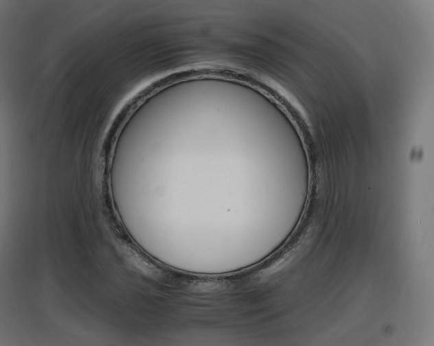 X0000097621021200802290815