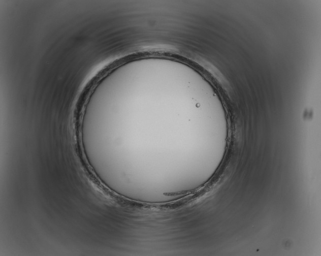 X0000097621022200802290815