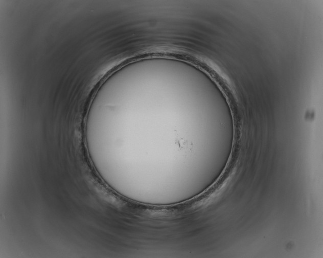 X0000097621025200802290815