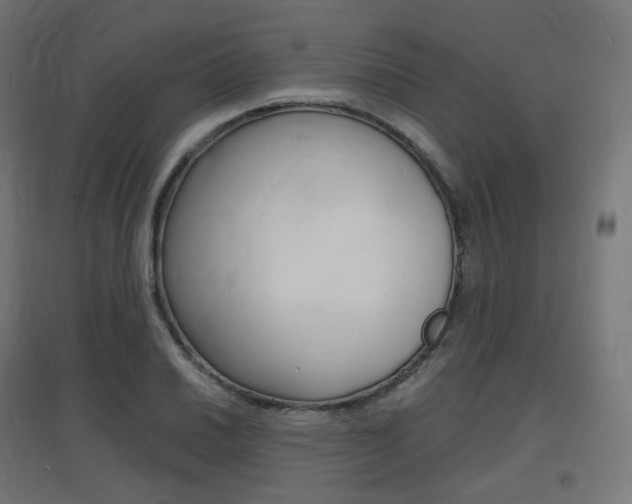 X0000097621030200802290815