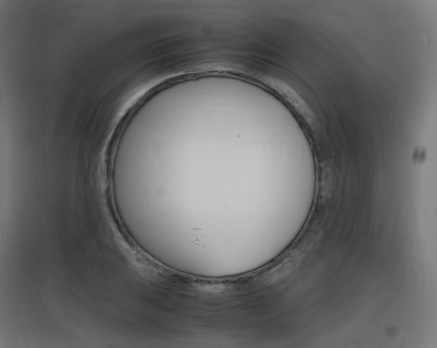 X0000097621031200802290815