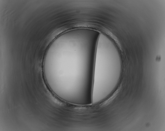 X0000097621033200802290815