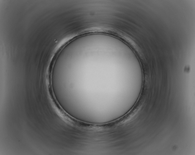X0000097621034200802290815