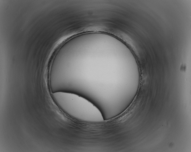 X0000097621035200802290815