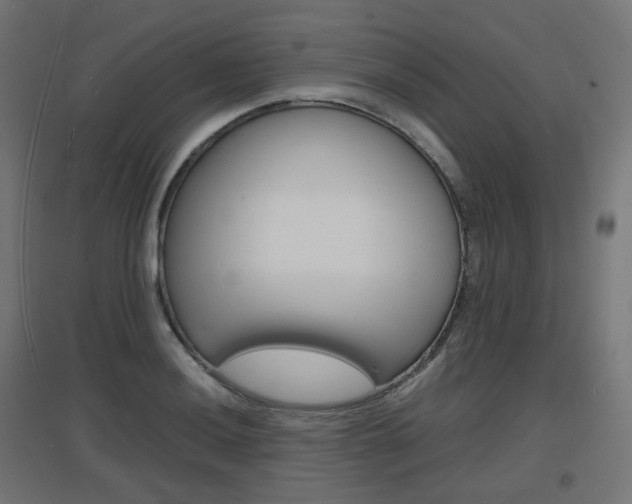 X0000097621036200802290815