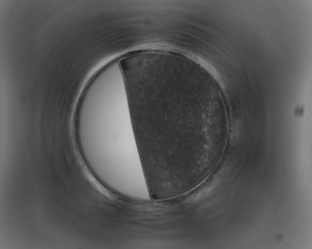 X0000097621037200802290815