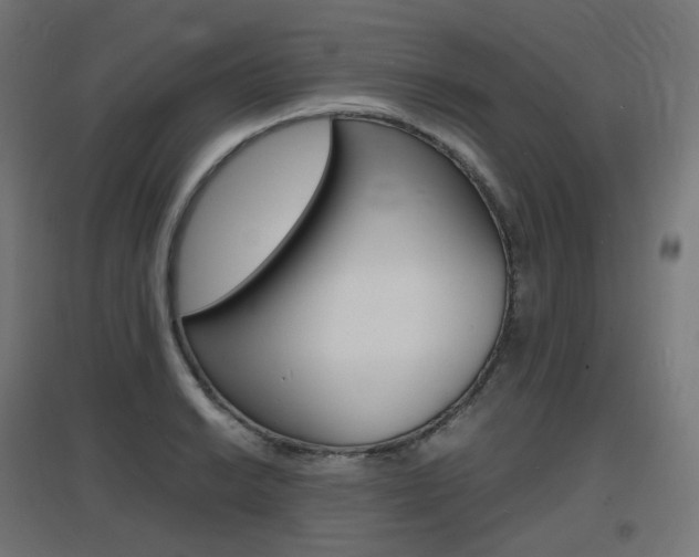 X0000097621038200802290815