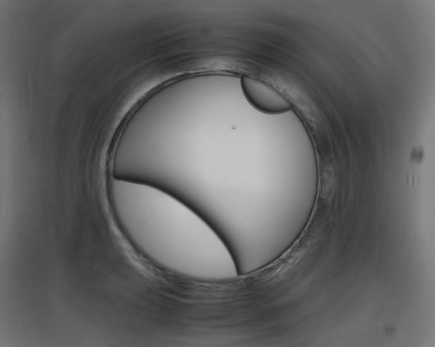 X0000097621039200802290815