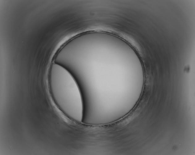 X0000097621040200802290815