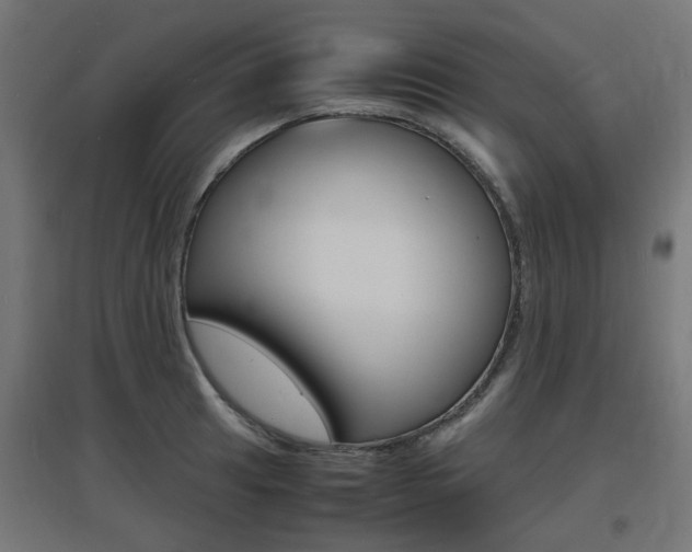 X0000097621041200802290815