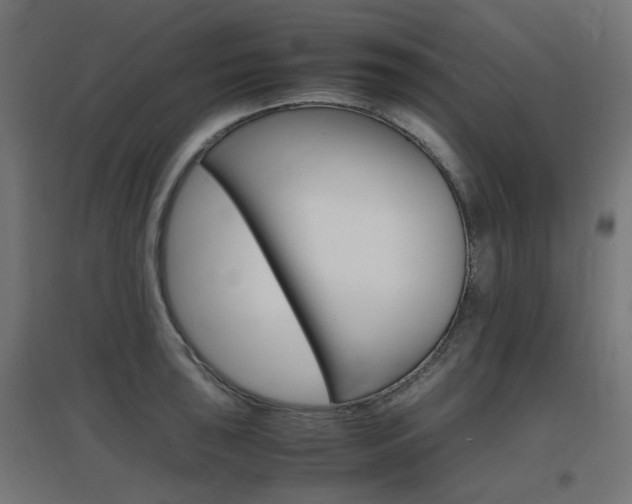 X0000097621043200802290815