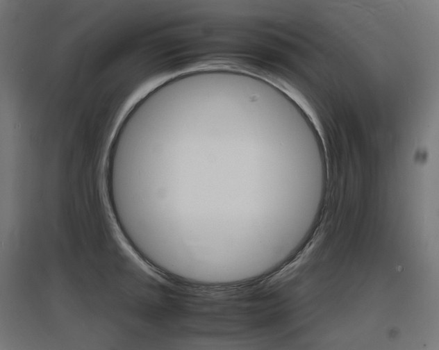 X0000097621045200802290815