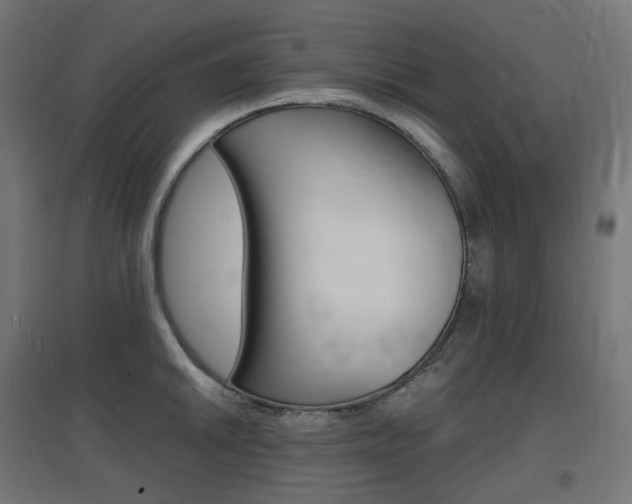 X0000097621046200802290815