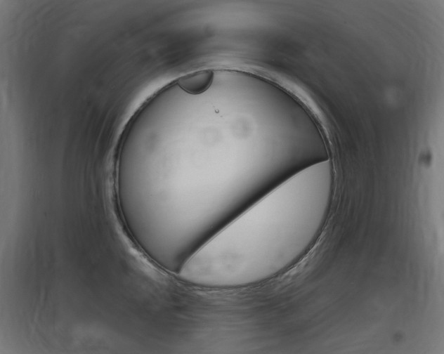 X0000097621048200802290816