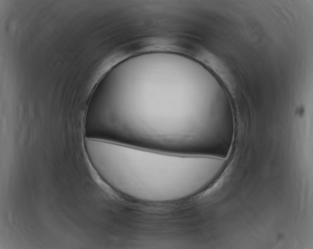 X0000097621049200802290816