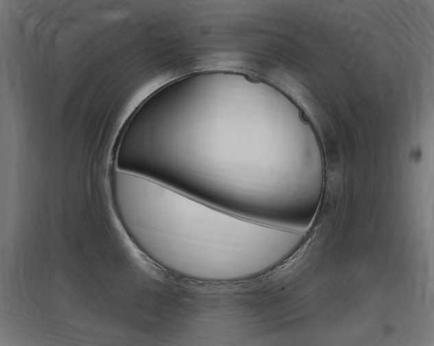 X0000097621050200802290816