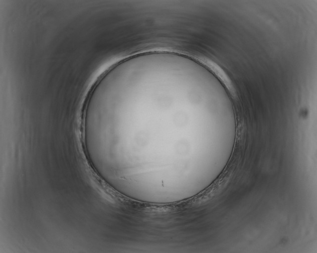 X0000097621051200802290816