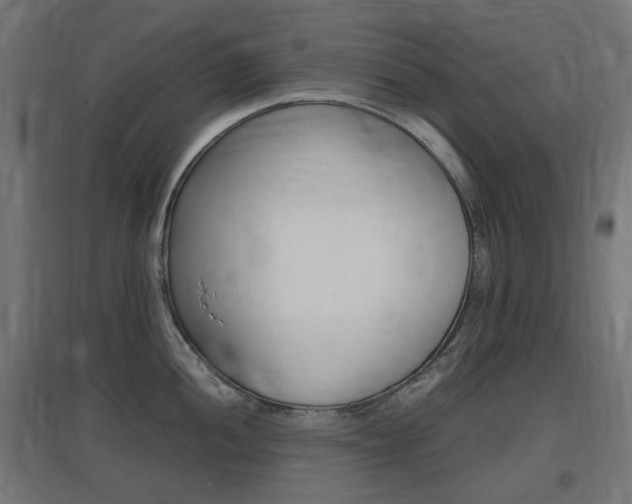 X0000097621052200802290816