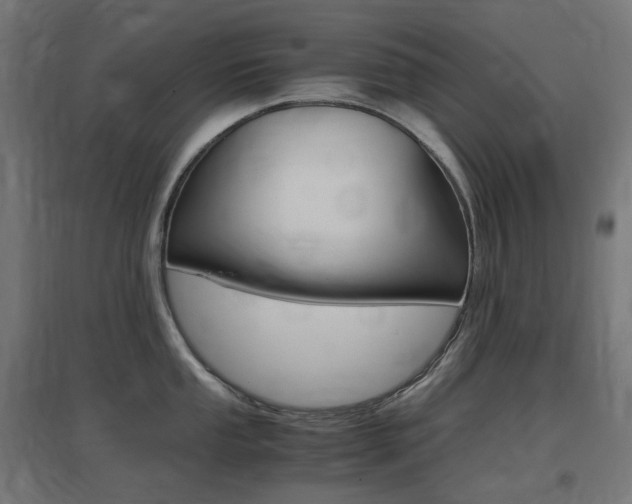 X0000097621053200802290816