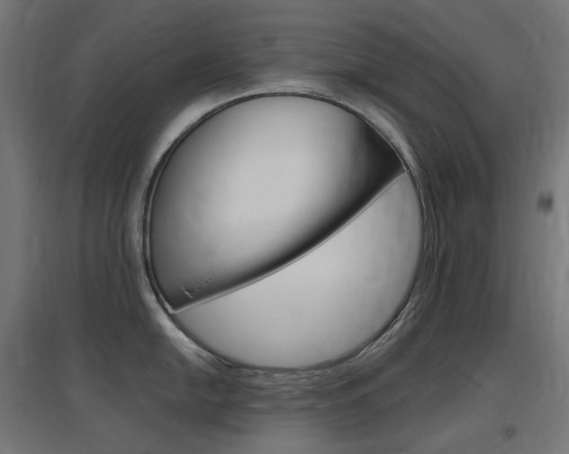 X0000097621054200802290816