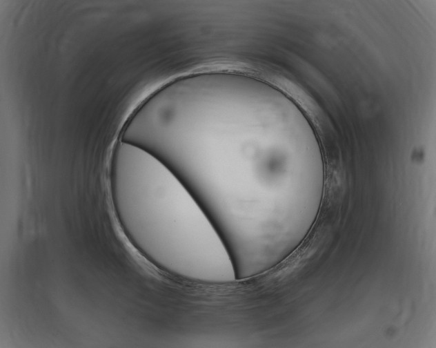 X0000097621055200802290816