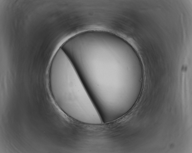 X0000097621056200802290816