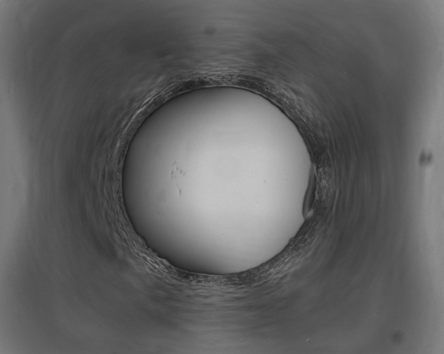 X0000097621057200802290815