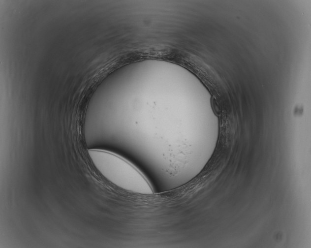 X0000097621058200802290815