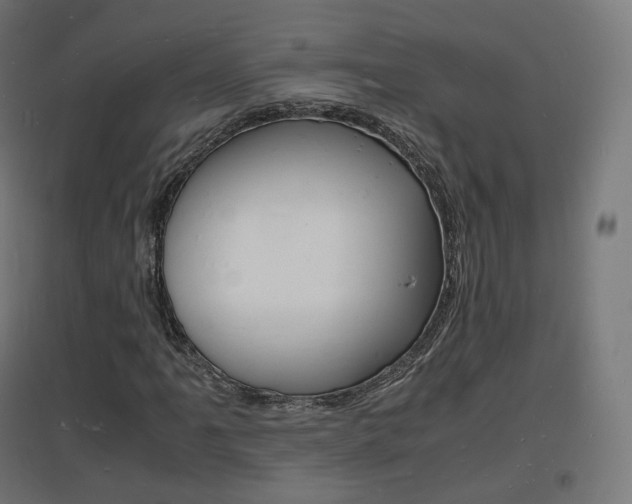 X0000097621061200802290815