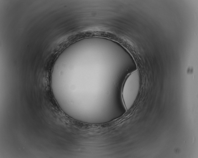 X0000097621062200802290815