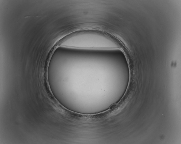 X0000097621065200802290815
