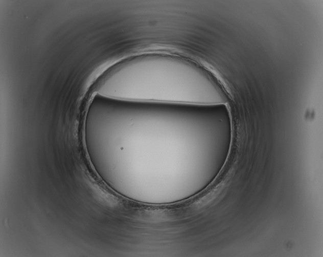 X0000097621066200802290815