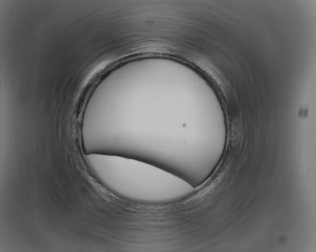 X0000097621067200802290815