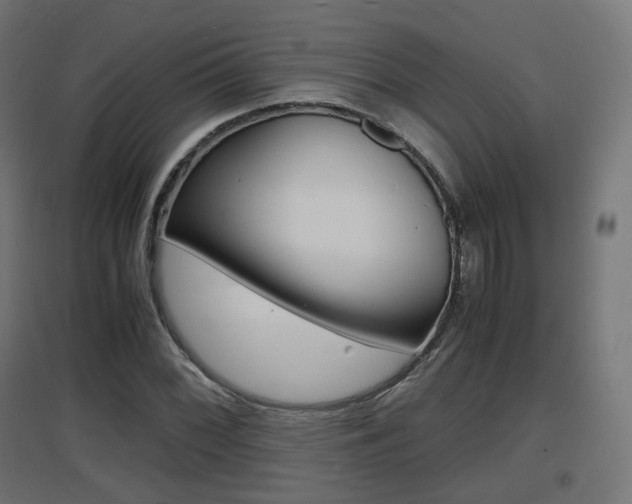 X0000097621068200802290815
