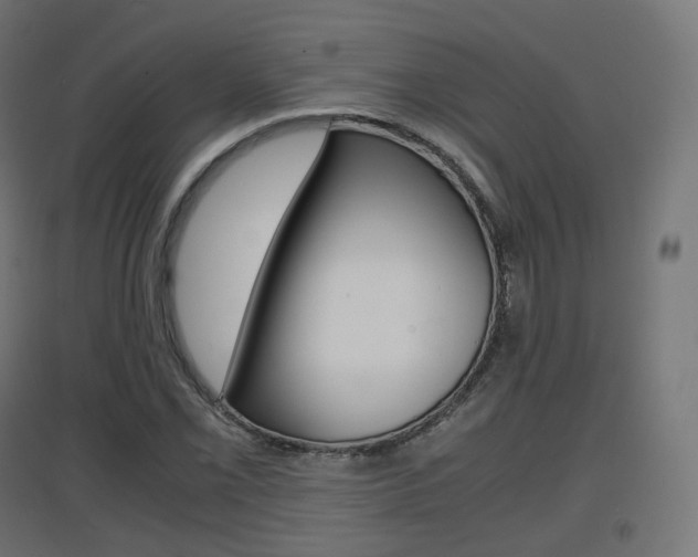 X0000097621069200802290815