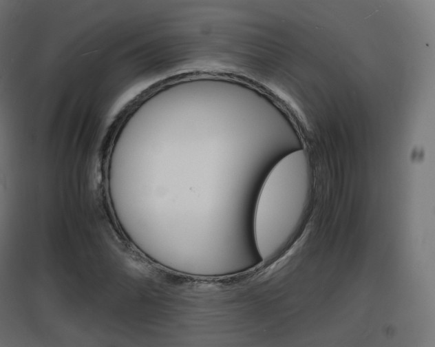 X0000097621070200802290815