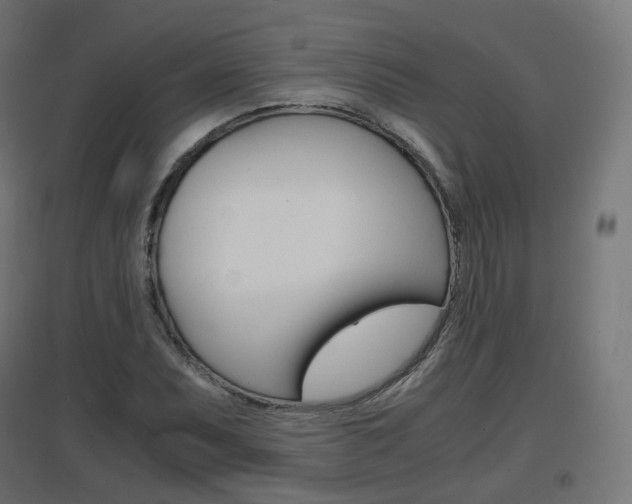 X0000097621071200802290815