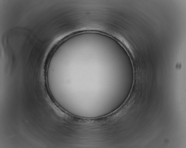X0000097621072200802290815