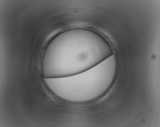 X0000097621073200802290815