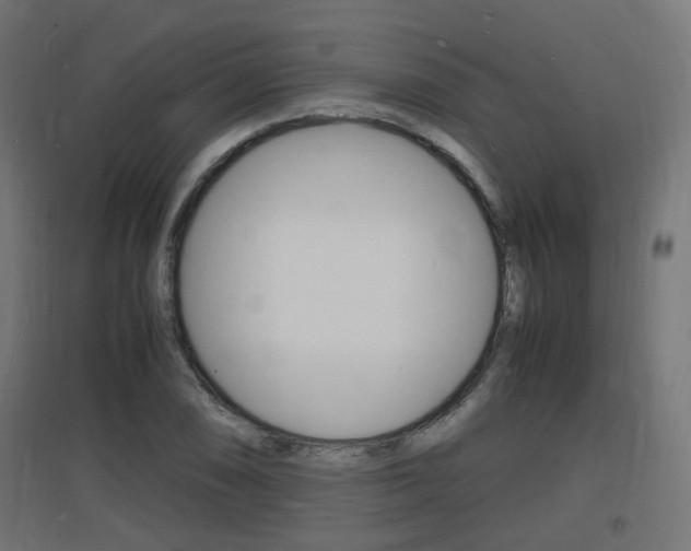 X0000097621074200802290815