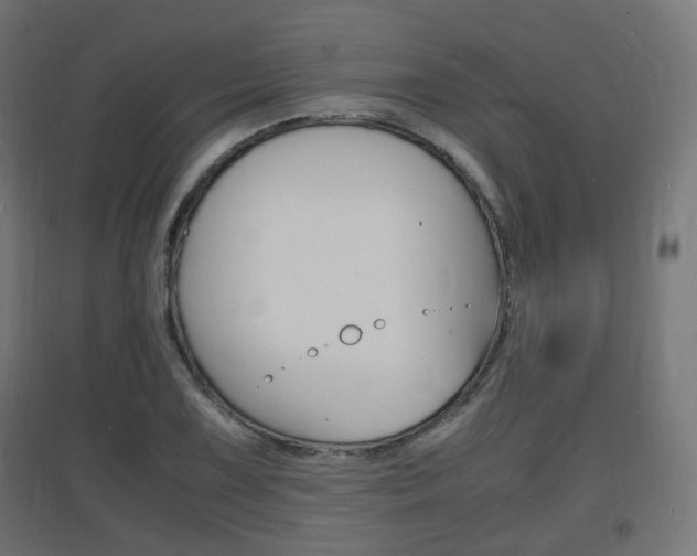 X0000097621075200802290815
