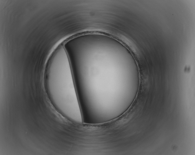 X0000097621076200802290815