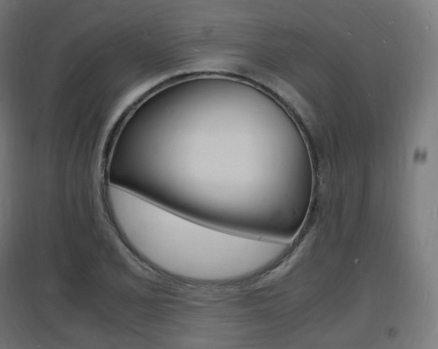 X0000097621077200802290815