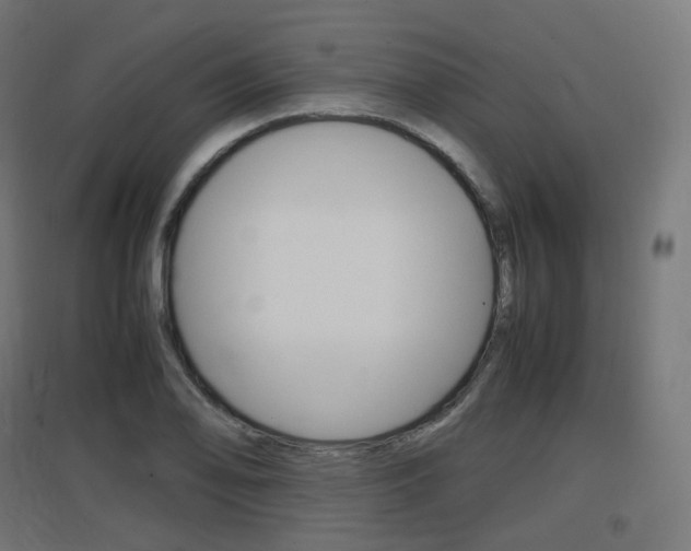 X0000097621078200802290815
