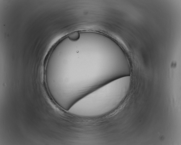 X0000097621079200802290815